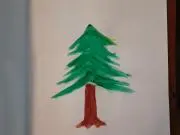 榧(かや)の木