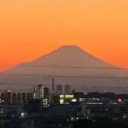 Toroの画像