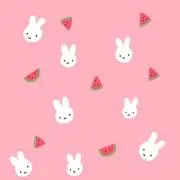 momon♪