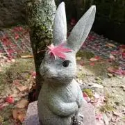 陽だまりの画像