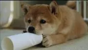 ⭐すー⭐の画像