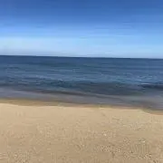 あーみん