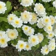 むむむ