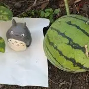 たぬっきぃの画像
