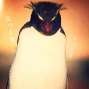 おり