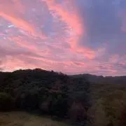 がんばれるーや