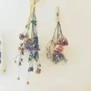miiの画像