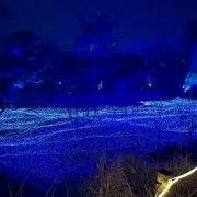 まらなたの画像