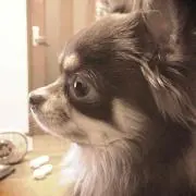 かぁこ