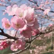 くろち