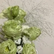 青りんごの画像