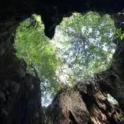コントレールの画像