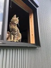 ななふしぎ