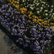 ^_^の画像