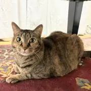 きーᒼᑋªⁿ✿