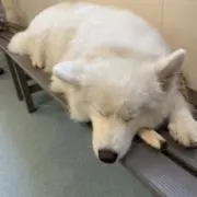みっちーの画像