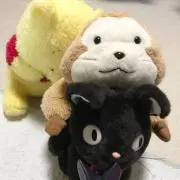 Takaの画像