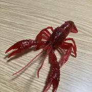 ＼＠＿＠／の画像