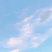 SEI