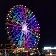 とりとりさん※の画像