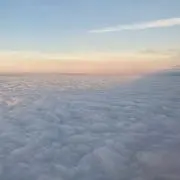 ぽてうさの画像