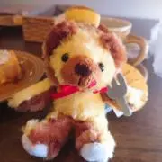 くぅかいの画像