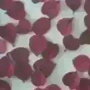 K.K