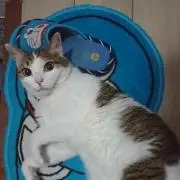 さりぃdortの画像