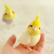 けだま号