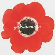 anemone