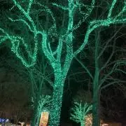 GJの画像