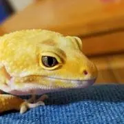 umincyuの画像