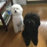 Yukiの画像