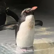 ピー子☺︎︎迅速丁寧！の画像