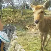 タイヨウ