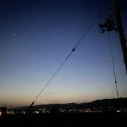 たん