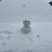 のーるの画像