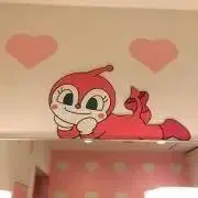 にしきの画像