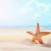 star★fish【PF必読】