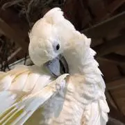 ななの画像