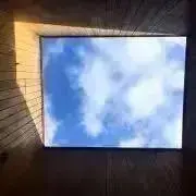 shokitoの画像