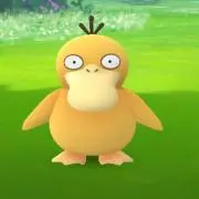 こだっく☆
