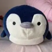 めるたの画像