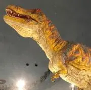 にっぴぃの画像