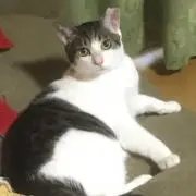 たなかの画像