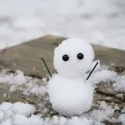 ゆきんこ