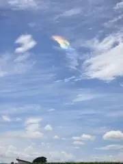 くまポンタ