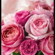 flower♡の画像