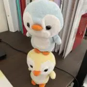 Chidaiの画像
