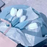 Oの画像